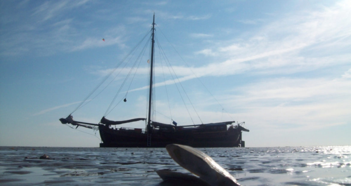 Waddenzee03siteweb.jpg