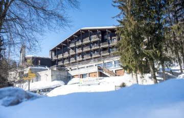 LES BALCONS DU MONT BLANC