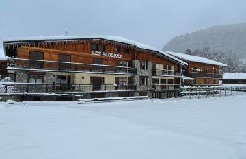 LES FLOCONS
